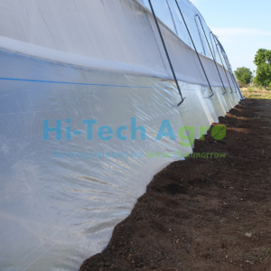 Insect Net