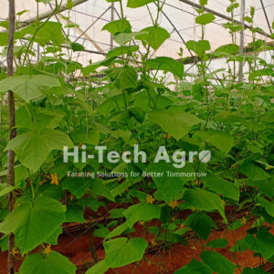 Crop Support Net