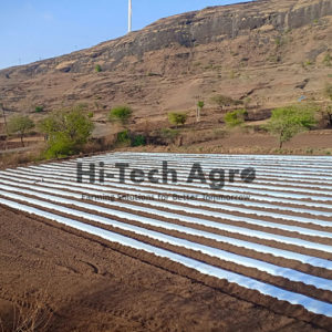 Mulching Film